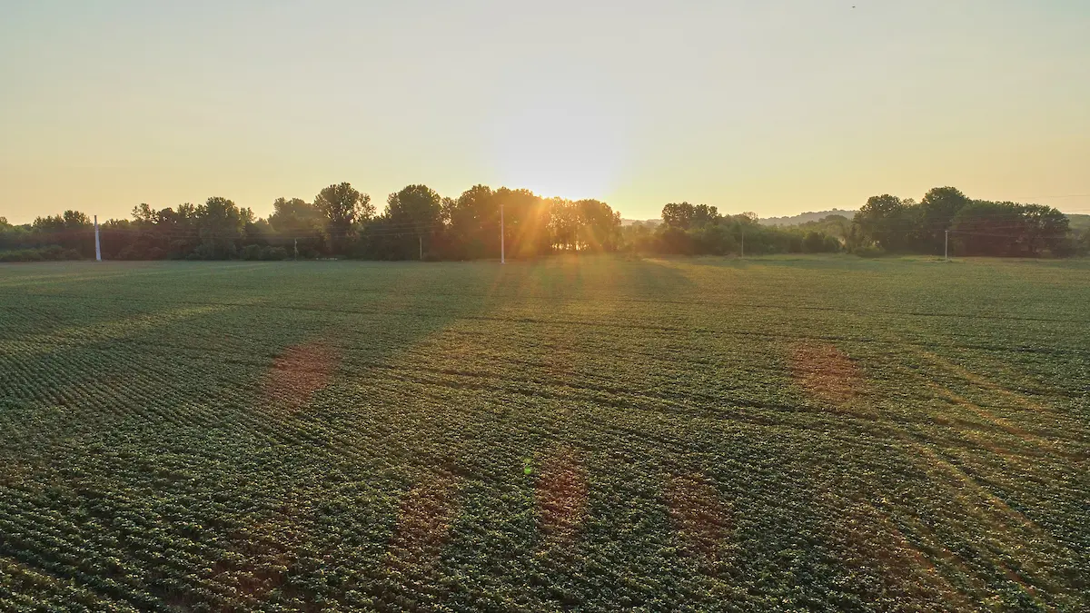 Overlooking a field at the Fischer Farm Field Site