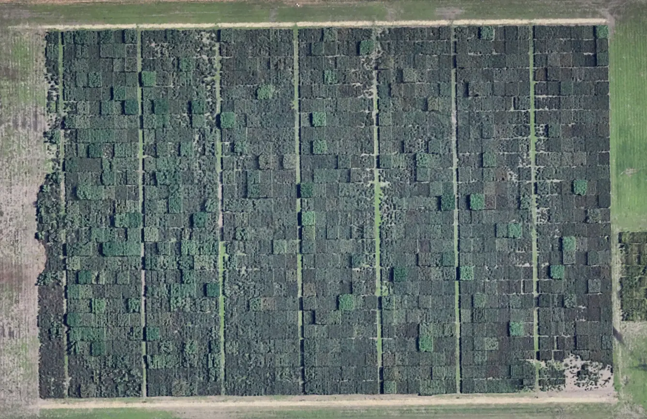 Shakoor lab field image