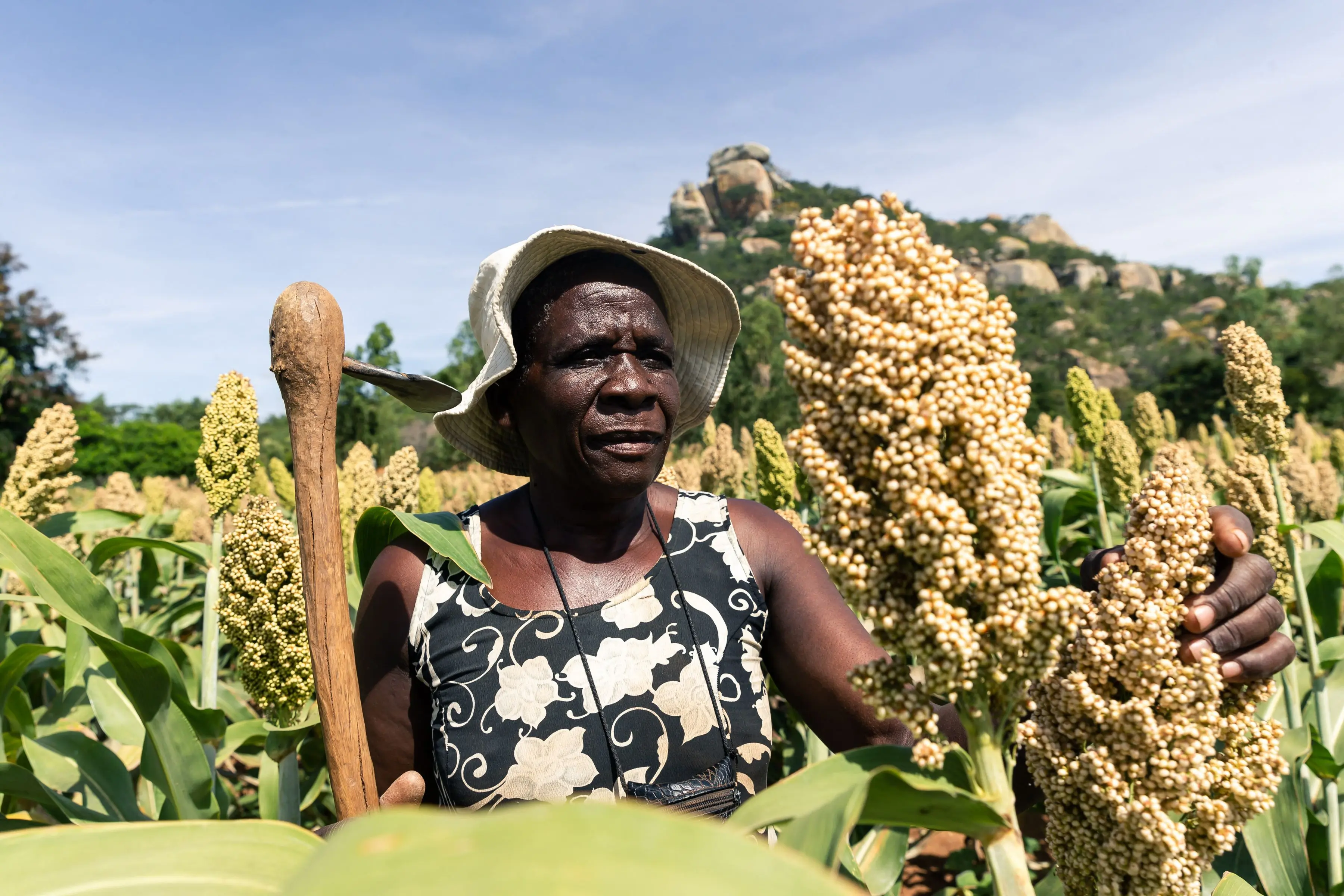 Woman in Africa admiring Sorghum crop