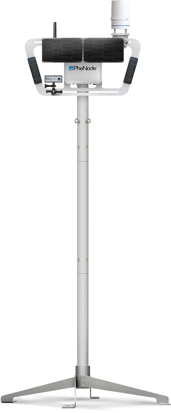 Phenode on display